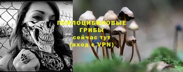 прущие грибы Аркадак