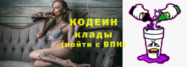 прущие грибы Аркадак