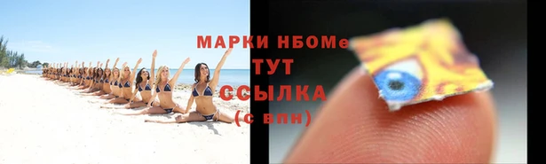 прущие грибы Аркадак