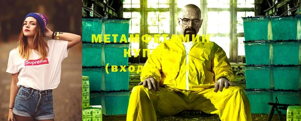 прущие грибы Аркадак