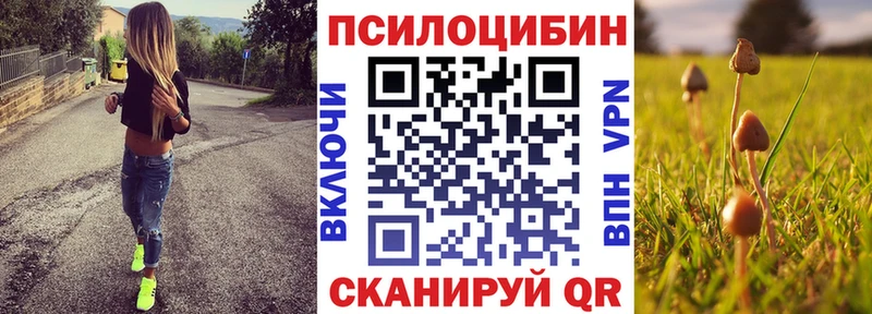 Купить закладки  Ельня  Галлюциногенные грибы Magic Shrooms 